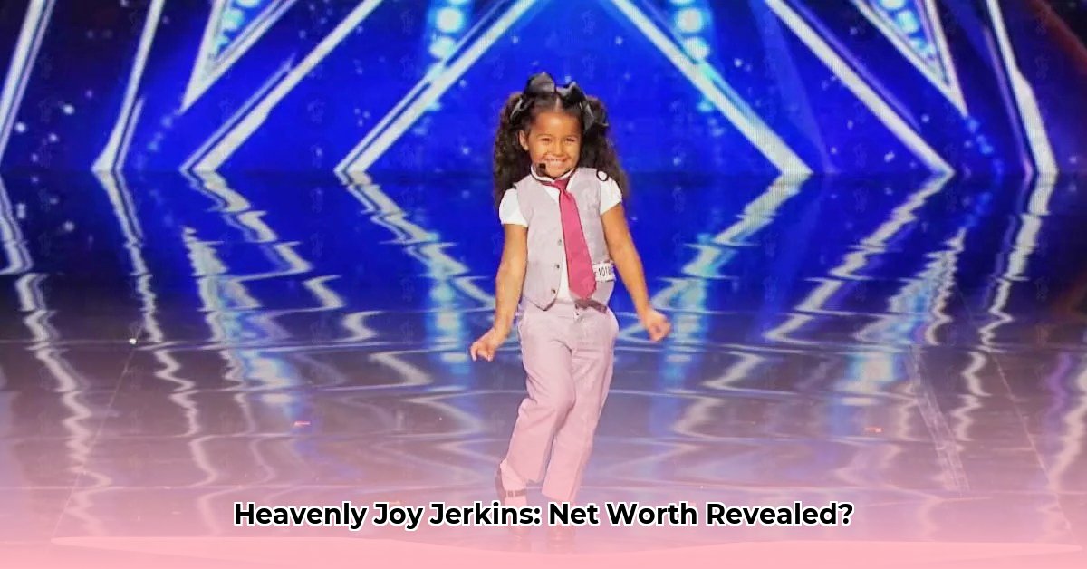 heavenly-joy-jerkins-net-worth